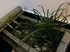 景观位-诸暨市岭北镇仕新农庄