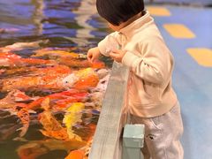 -上海大自然野生昆虫馆(东方明珠·爬宠昆虫探索中心)