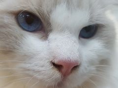 -乐宠宠物店(世纪金源店)