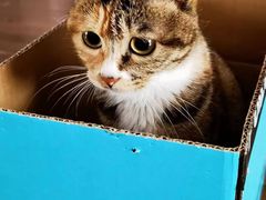 -达爱动物医院·犬猫分区·CT·复杂眼科(远洋山水分院)