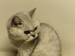 -小时光咖啡馆(北锣鼓巷店)
