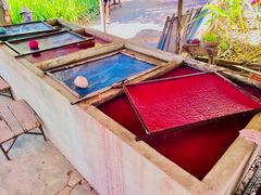 -大象粑粑造纸公园