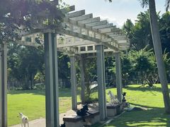 -东南花都花博园