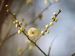 -成都市活水公园