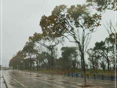 -春花秋色城市公园