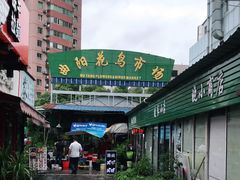 -曲阳花鸟市场(曲阳路店)