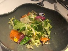 -蝶舍·MAISON PAPILLON