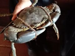 -Ministry of Crab(科伦坡店)