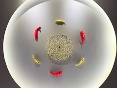 -渝味晓宇火锅(合川路店)