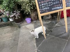 -龙姐私房菜(和顺古镇店)