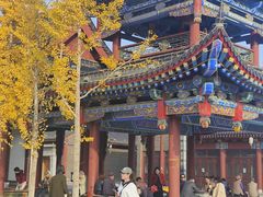 -金城公园