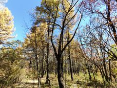 -玉渡山自然风景区