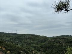 -五龙城郊森林公园