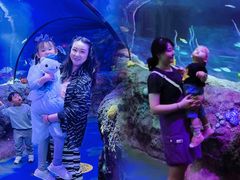 -沈阳海洋探索中心