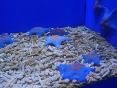 -青岛海底世界-水族馆