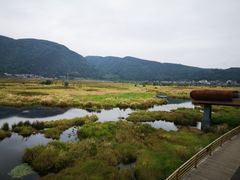 -腾冲北海湿地