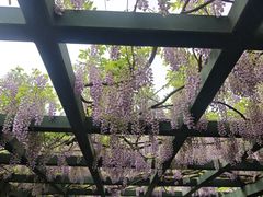 -北京市劳动人民文化宫(太庙)