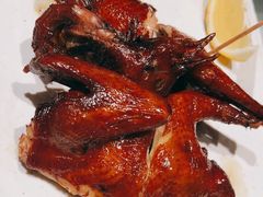 -侨美·唐荔园·40年地道粤菜