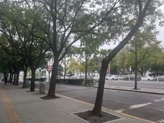 -中国建设银行(北京朝阳支行)