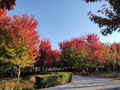-沈阳市东陵公园