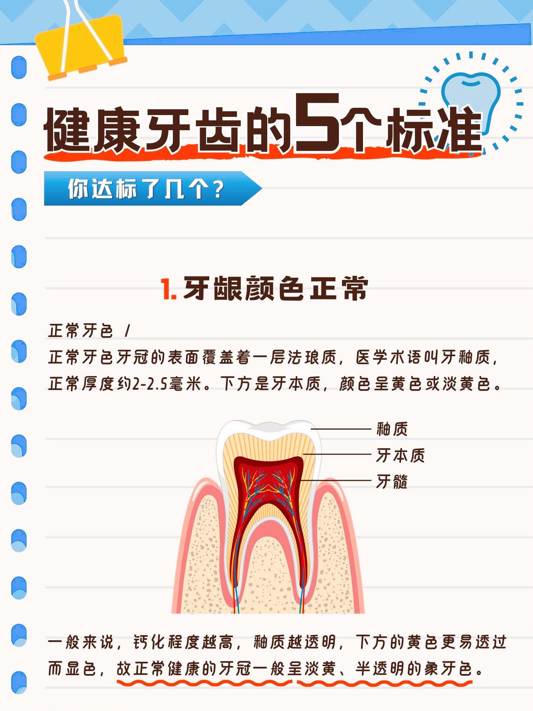 健康牙齿里面图片图片