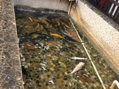 -白洋淀灶台鱼(名佳花园店)
