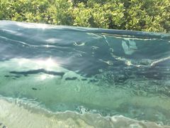 iphone_upload_pic-苏州湾王焰温泉度假酒店