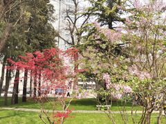 -北京理工大学(中关村校区)