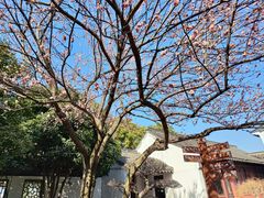 -常熟方塔园