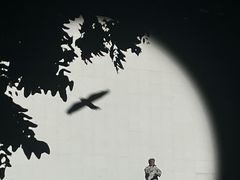 -成都金融城演艺中心