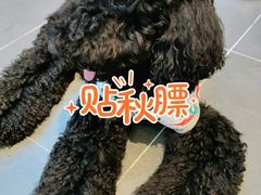 -萌兽医馆·眼科·异宠专科(三里屯店)