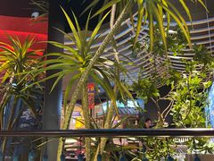 -芸山季·云南山珍菌火锅(人民广场来福士店)