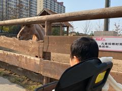 -太原动物园