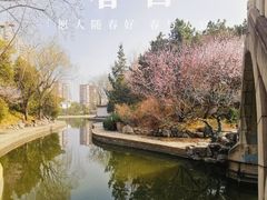 -团结湖公园
