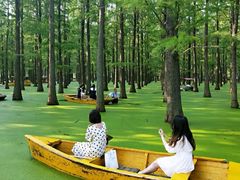 -南京银杏湖乐园