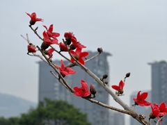 -仙岳公园