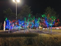 -丁香湖丁香小镇Citypark滑雪公园戏雪嘉年华