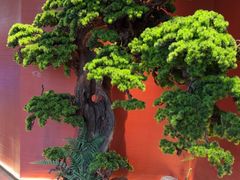-阿伟海鲜楼·福建菜(延寿店)