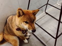 -NOTBAD 须时·咖啡馆