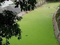 -梅窝