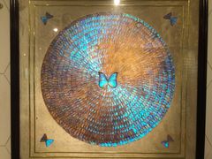 -上海昆虫博物馆