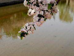 -海棠花溪(元大都城垣遗址公园)