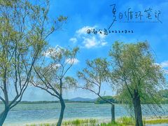 -渤公岛生态公园