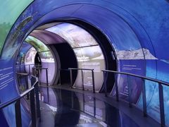 -房山世界地质公园博物馆