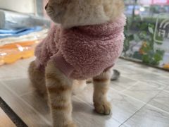 -宠颐生汉谟拉比宠物医院