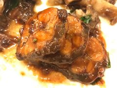 红烧河鳗-龙汇酒家(沪闵路店)