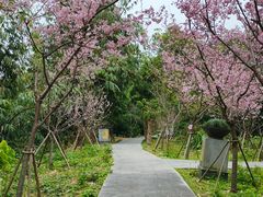 -福建鲤鱼洲酒店