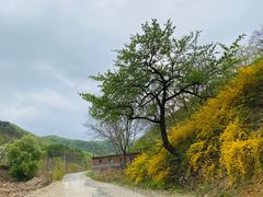 -大连天门山国家森林公园