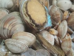 -海帮主·蒸汽海鲜青岛菜(栈桥火车站店)