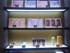 -哈根达斯(深圳海岸城店)